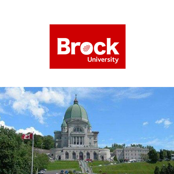 加拿大布鲁克大学